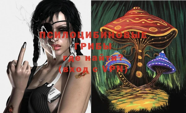 гашик Алзамай