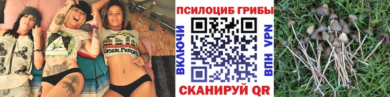 наркота  Волжский  Галлюциногенные грибы ЛСД 